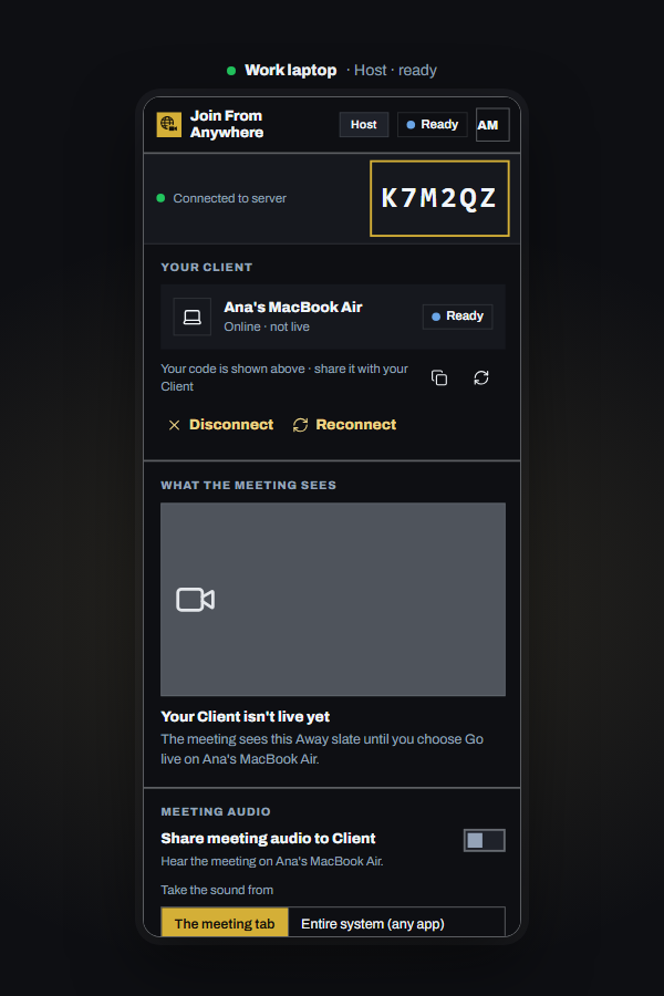 The Host panel at rest, ready for the Client to go live.